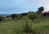 Non-developable land for sale on España, Pola de Siero, ref: TR409248 photo