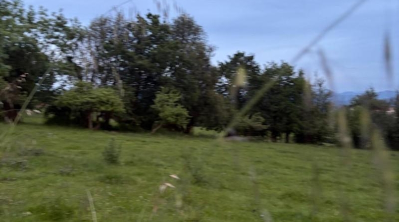 Astúries - Pola de Siero - 1072m2