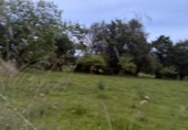 Non-developable land for sale on España, Pola de Siero, ref: TR409248 photo