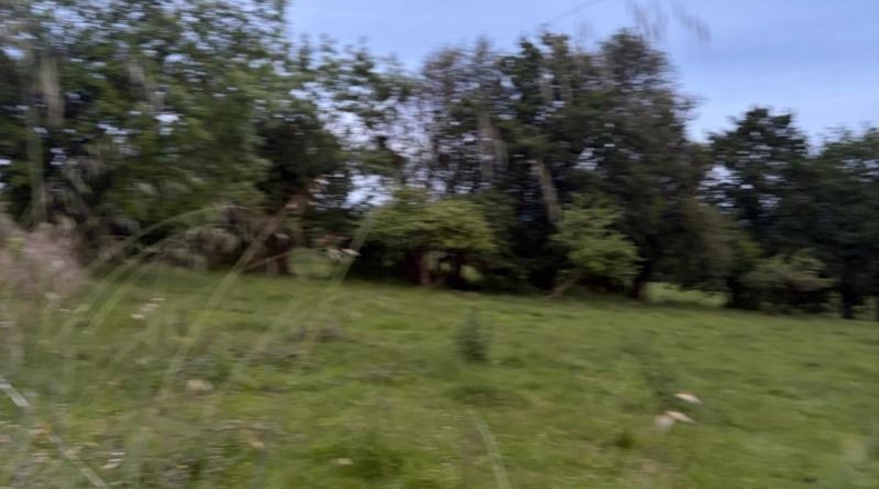 Astúries - Pola de Siero - 1072m2