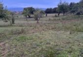 Non-developable land for sale on España, Pola de Siero, ref: TR409248 photo
