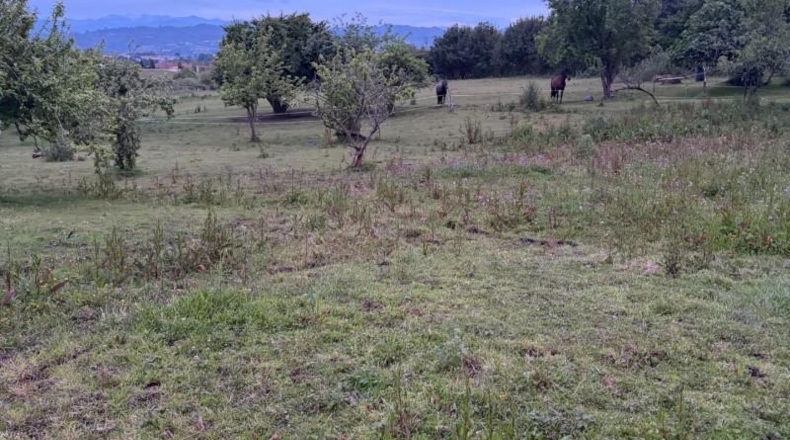 Astúries - Pola de Siero - 1072m2