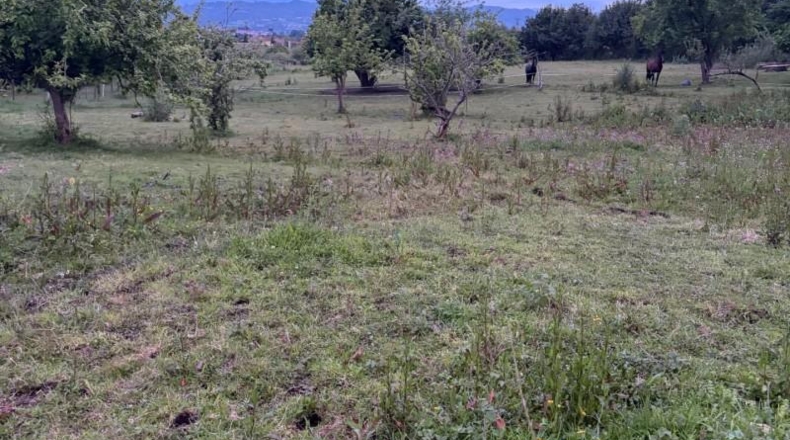 Astúries - Pola de Siero - 1072m2