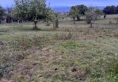 Non-developable land for sale on España, Pola de Siero, ref: TR409248 photo
