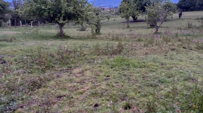 Astúries - Pola de Siero - 1072m2