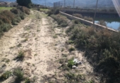 Terreny no urbanitzable en venda a la España, Los Gallardos, ref.: TR409247 foto