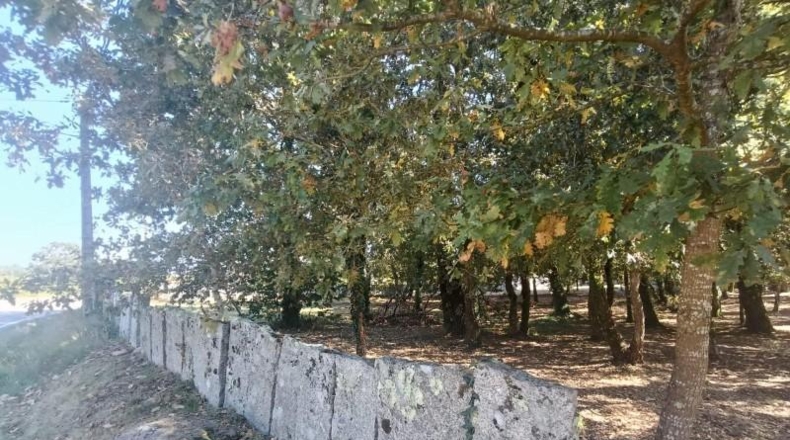 Pontevedra - Tuy - 2341m2
