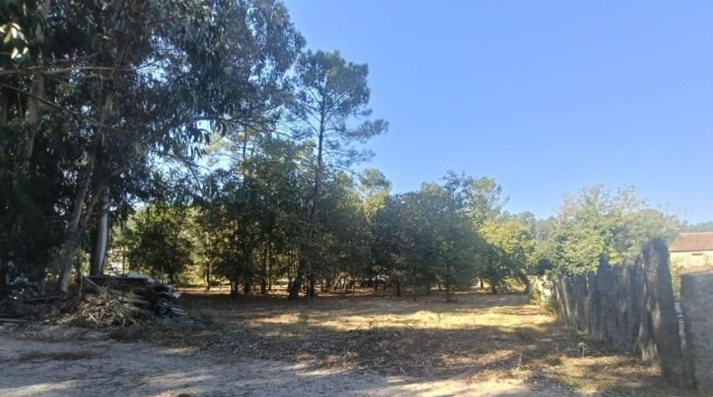 Pontevedra - Tuy - 2341m2