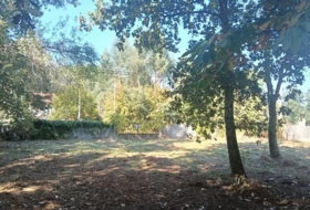 Tuy 2341&nbsp;m²