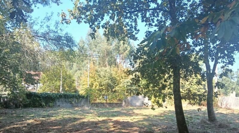Pontevedra - Tuy - 2341m2