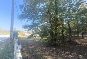 Tuy 2341&nbsp;m²