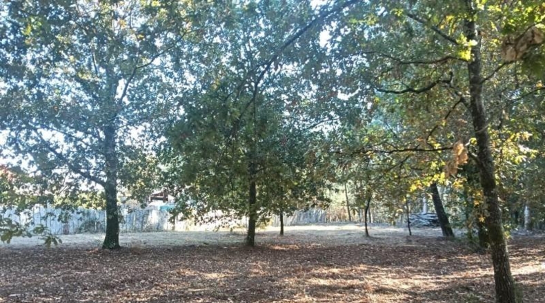 Pontevedra - Tuy - 2341m2