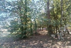 Tuy 2341&nbsp;m²