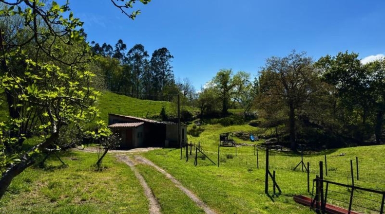 Cantàbria - Bustriguado - 6044m2