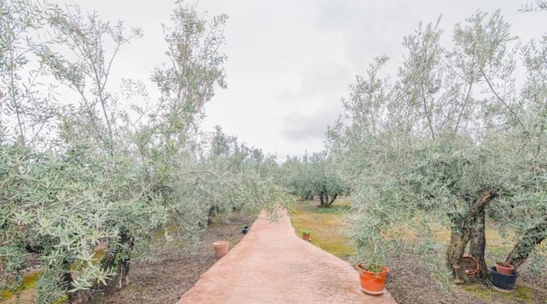 Granada - Ogíjares - 645m2