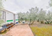 Non-developable land for sale on España, Ogíjares, ref: TR409241 photo