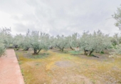 Non-developable land for sale on España, Ogíjares, ref: TR409241 photo