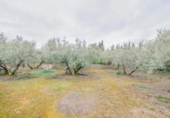 Non-developable land for sale on España, Ogíjares, ref: TR409241 photo