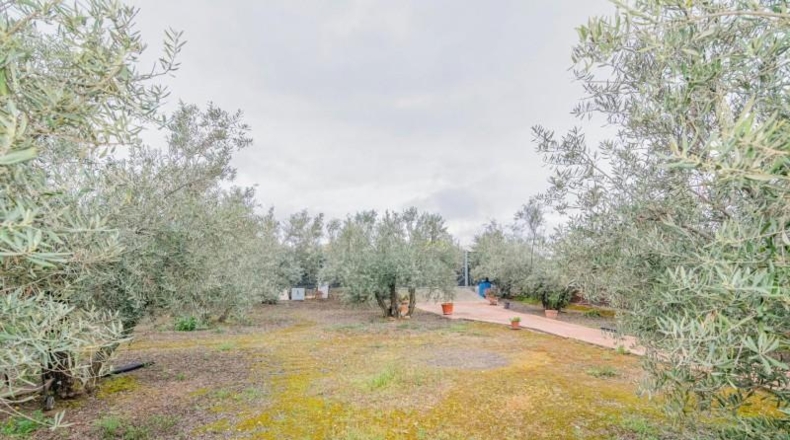 Granada - Ogíjares - 645m2