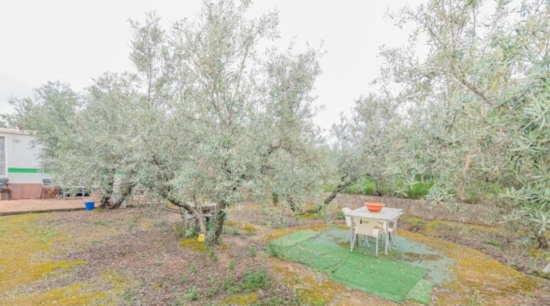 Granada - Ogíjares - 645m2