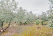 Non-developable land for sale on España, Ogíjares, ref: TR409241 photo