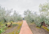 Non-developable land for sale on España, Ogíjares, ref: TR409241 photo