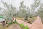 Non-developable land for sale on España, Ogíjares, ref: TR409241 photo