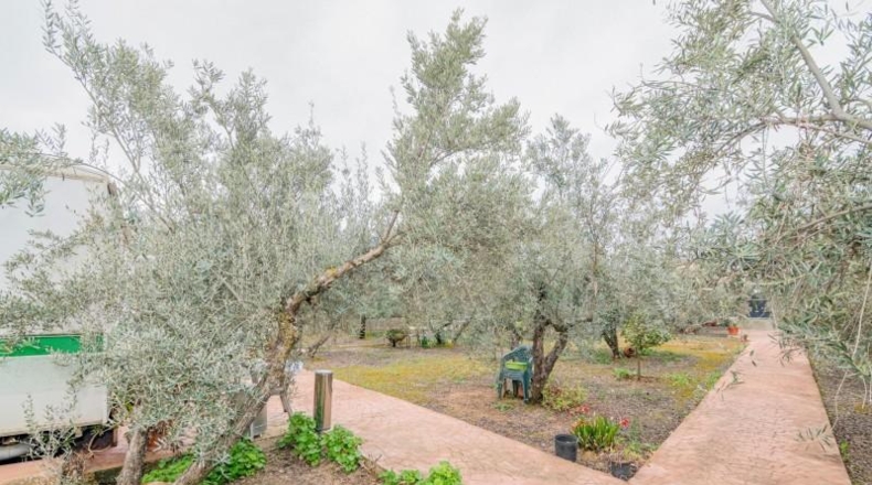 Granada - Ogíjares - 645m2