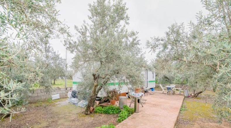 Granada - Ogíjares - 645m2
