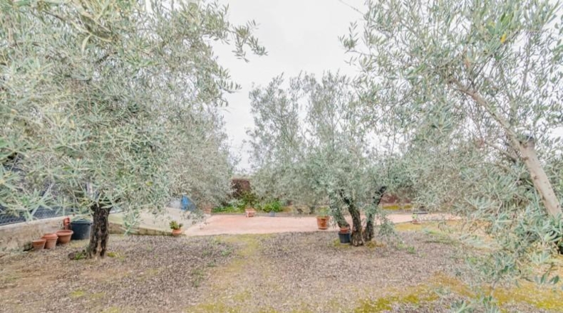 Granada - Ogíjares - 645m2