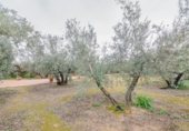 Non-developable land for sale on España, Ogíjares, ref: TR409241 photo