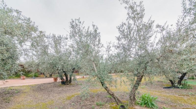 Granada - Ogíjares - 645m2