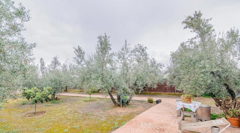 Granada - Ogíjares - 645m2