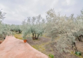 Non-developable land for sale on España, Ogíjares, ref: TR409241 photo