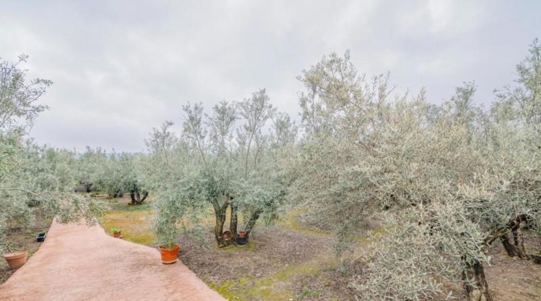 Granada - Ogíjares - 645m2