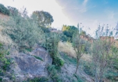 Urban land for sale on España, Vélez de Benaudalla, ref: TR409239 photo
