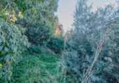 Urban land for sale on España, Vélez de Benaudalla, ref: TR409239 photo