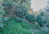Urban land for sale on España, Vélez de Benaudalla, ref: TR409239 photo