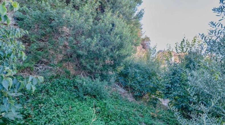 Granada - Vélez de Benaudalla - 1200m2