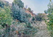 Urban land for sale on España, Vélez de Benaudalla, ref: TR409239 photo