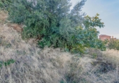 Urban land for sale on España, Vélez de Benaudalla, ref: TR409239 photo