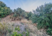 Urban land for sale on España, Vélez de Benaudalla, ref: TR409239 photo