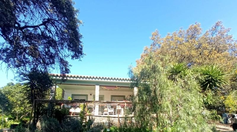 Seville - Castilblanco de los Arroyos - 2000m2