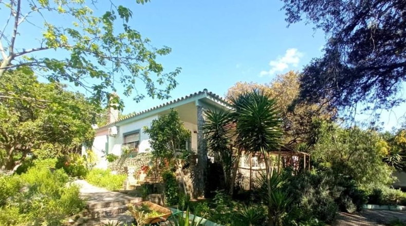 Seville - Castilblanco de los Arroyos - 2000m2