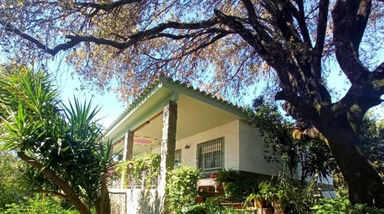 Seville - Castilblanco de los Arroyos - 2000m2