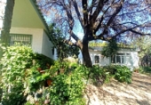 Finca rústica en venda a la España, Castilblanco de los Arroyos, ref.: TR409319 foto