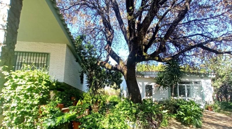 Seville - Castilblanco de los Arroyos - 2000m2