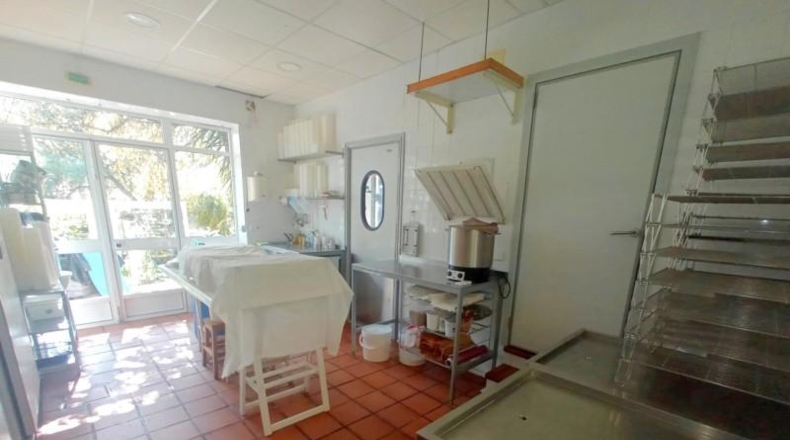 Seville - Castilblanco de los Arroyos - 2000m2