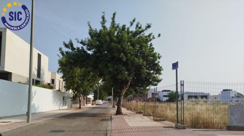 Castellón - Castellón de la Plana - 400m2