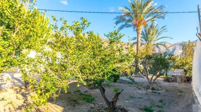 Alicante - Orihuela - 850m2